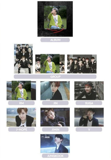 DARK &amp; WILD